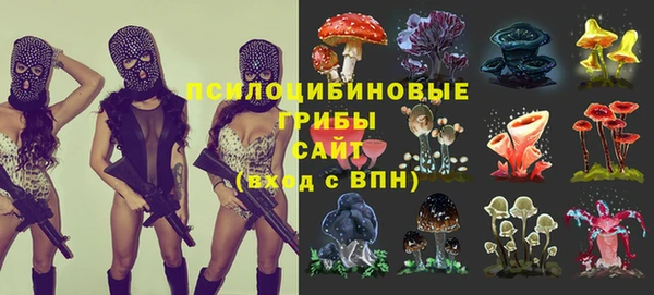 дмт Алексин