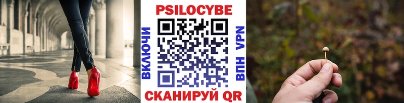 Псилоцибиновые грибы Magic Shrooms  Купить закладки  Вязники 
