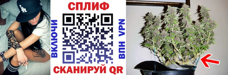 Купить закладки  Вязники  МАРИХУАНА MAZAR 